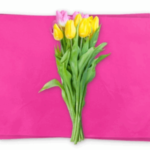 Satin Wrap Waxed Tissue 250/ream