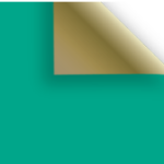 Dark Green / Gold 2-sided