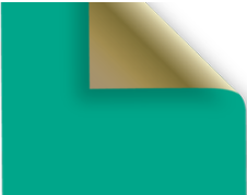 Tissue 2-sided Dark Green / Gold 20x30